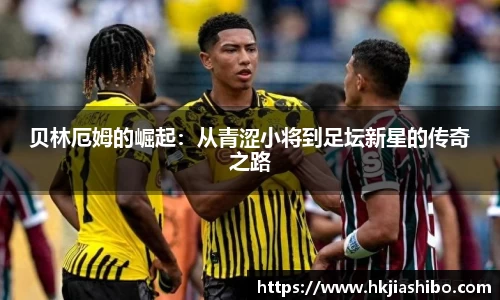 彩乐园